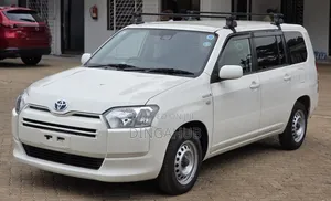 Toyota Succeed 2019 Pearl