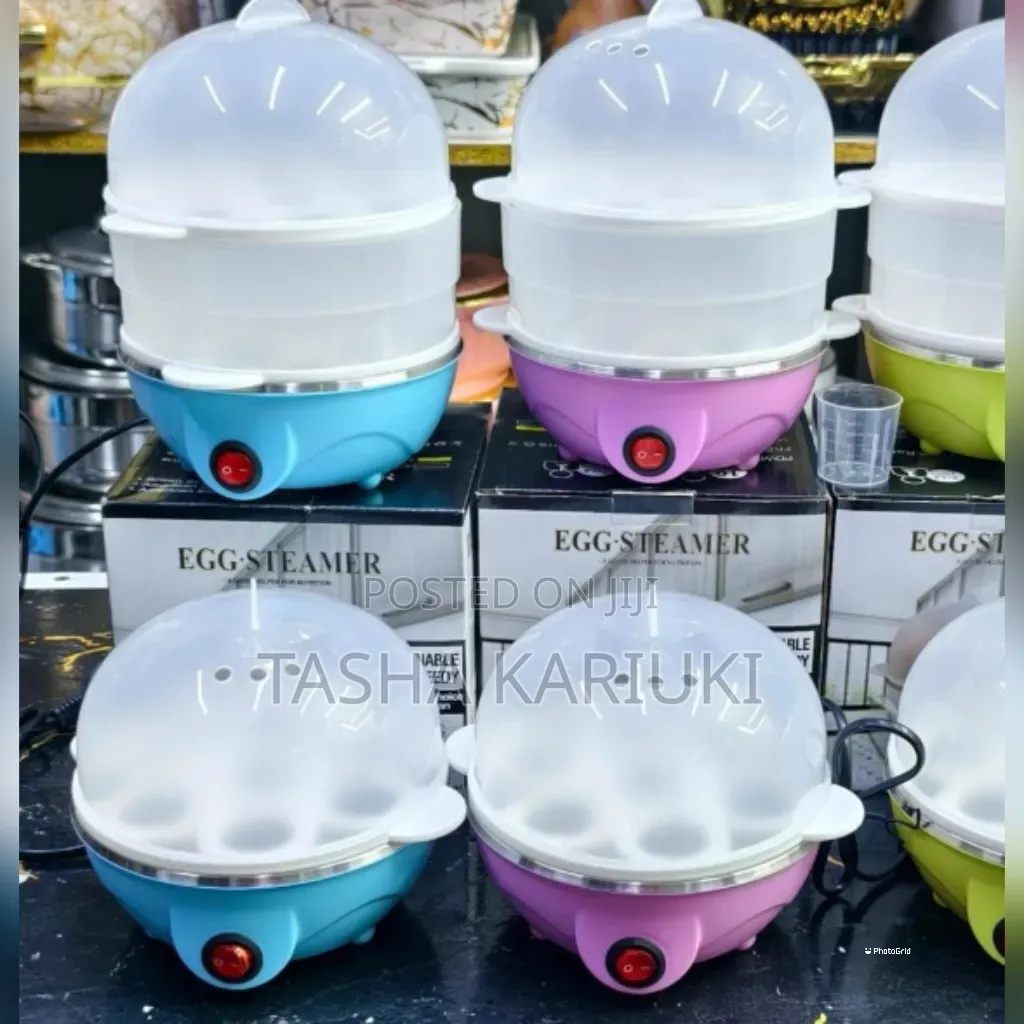 Electric Double Egg Boiler
