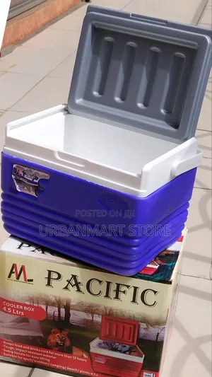 Pacific Small Cooler Box for Home Camping 4.5 Litres