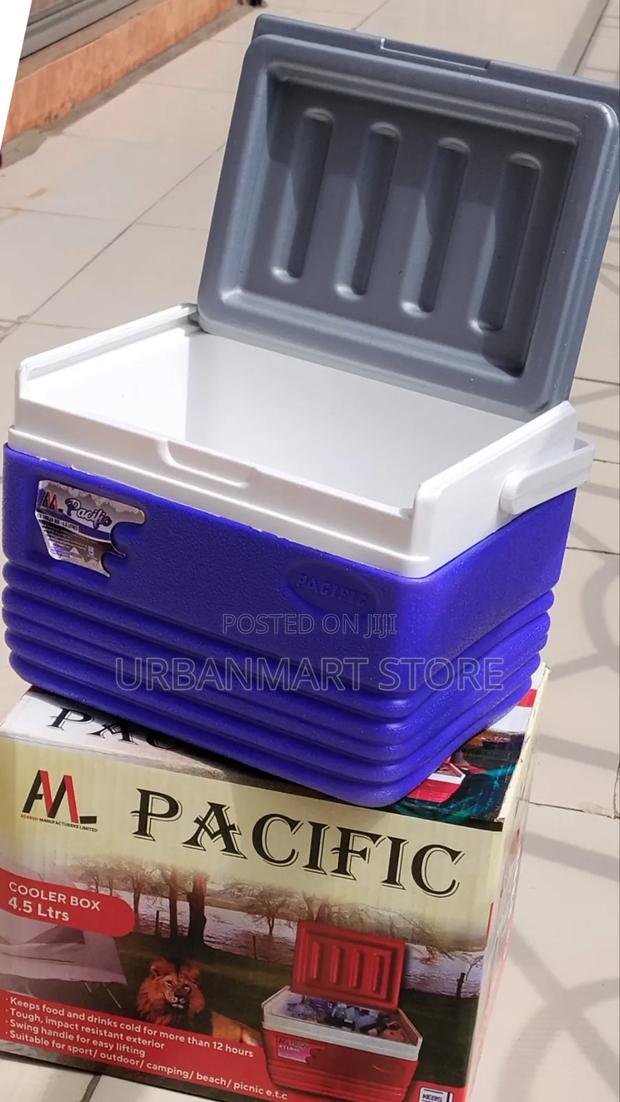 Pacific Small Cooler Box for Home Camping 4.5 Litres