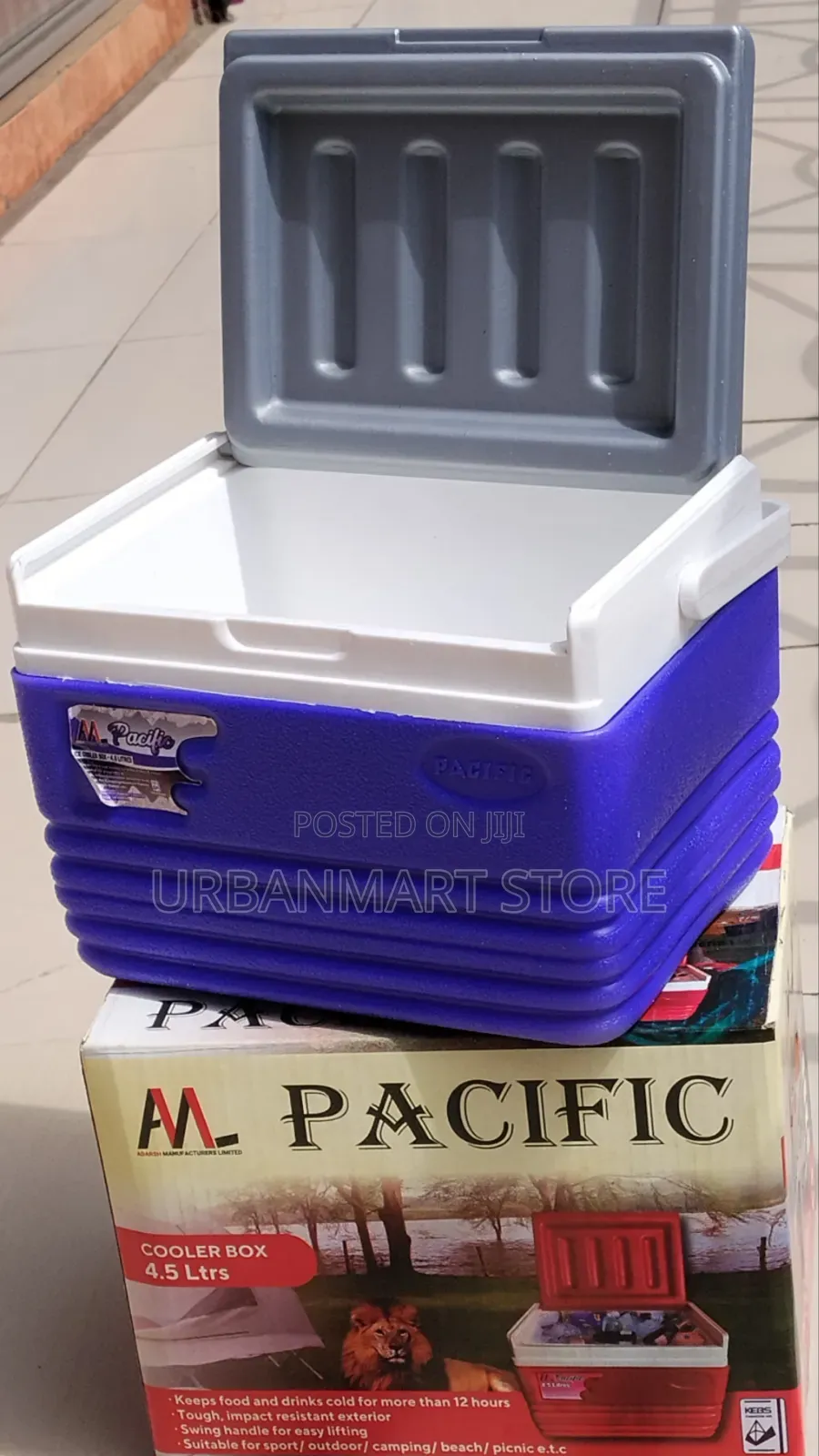 Durable 4.5 Litres Insulated Travel Cooler Bag Box