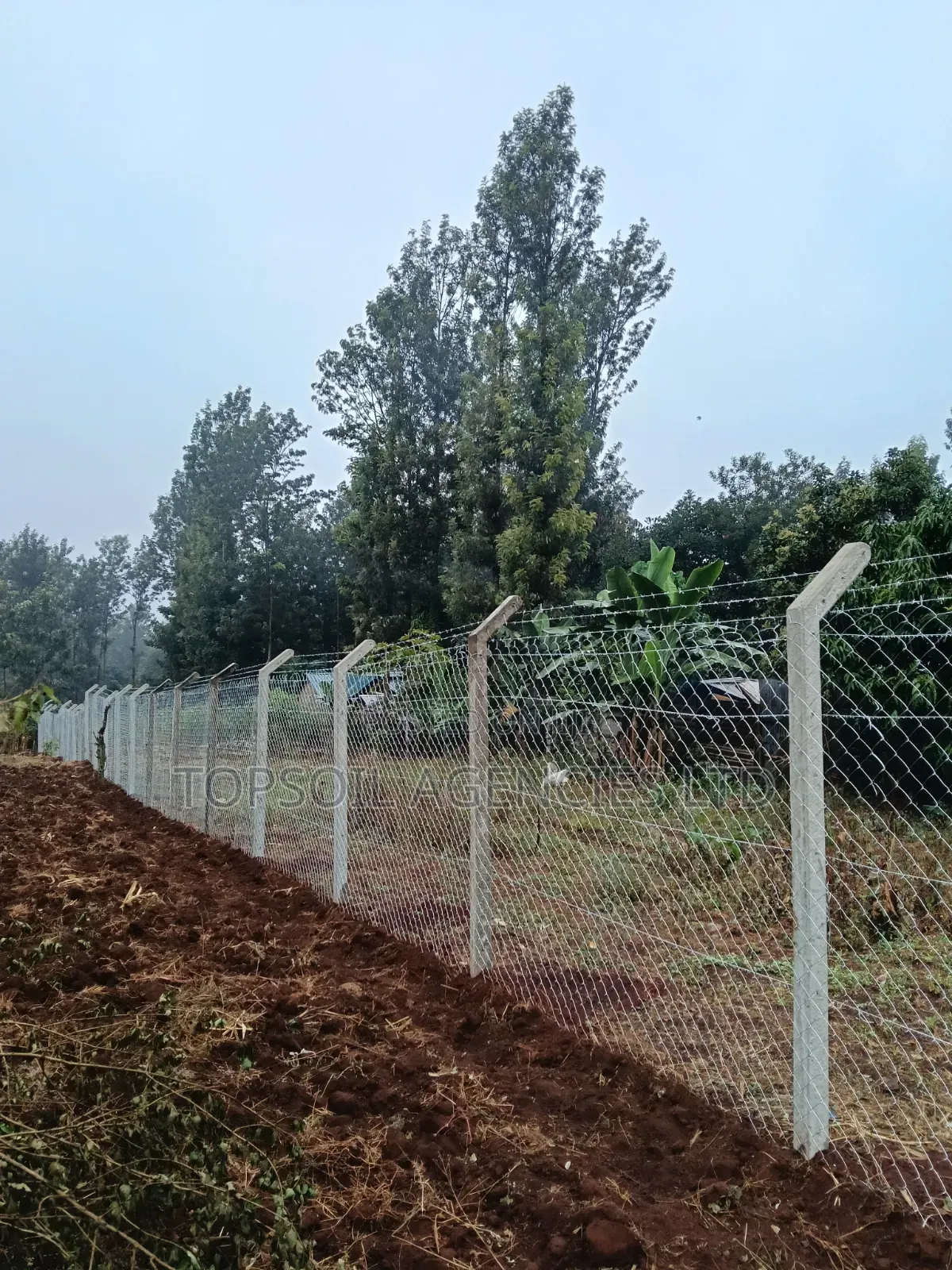 Concrete Fencing Post Supply and Fix