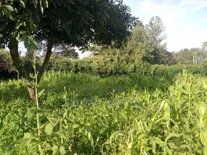 0.5 Acre in Kerarapon, Karen