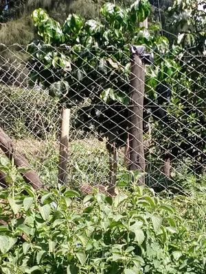 0.5 Acre in Kerarapon, Karen