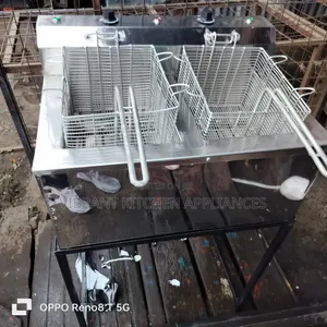 Stainless Steel Electric Double Deep Fryer