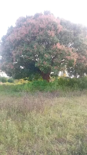 1 Acre Plot on Sale at Kinondo Town Zone, Opposite Kinondo Hospital.