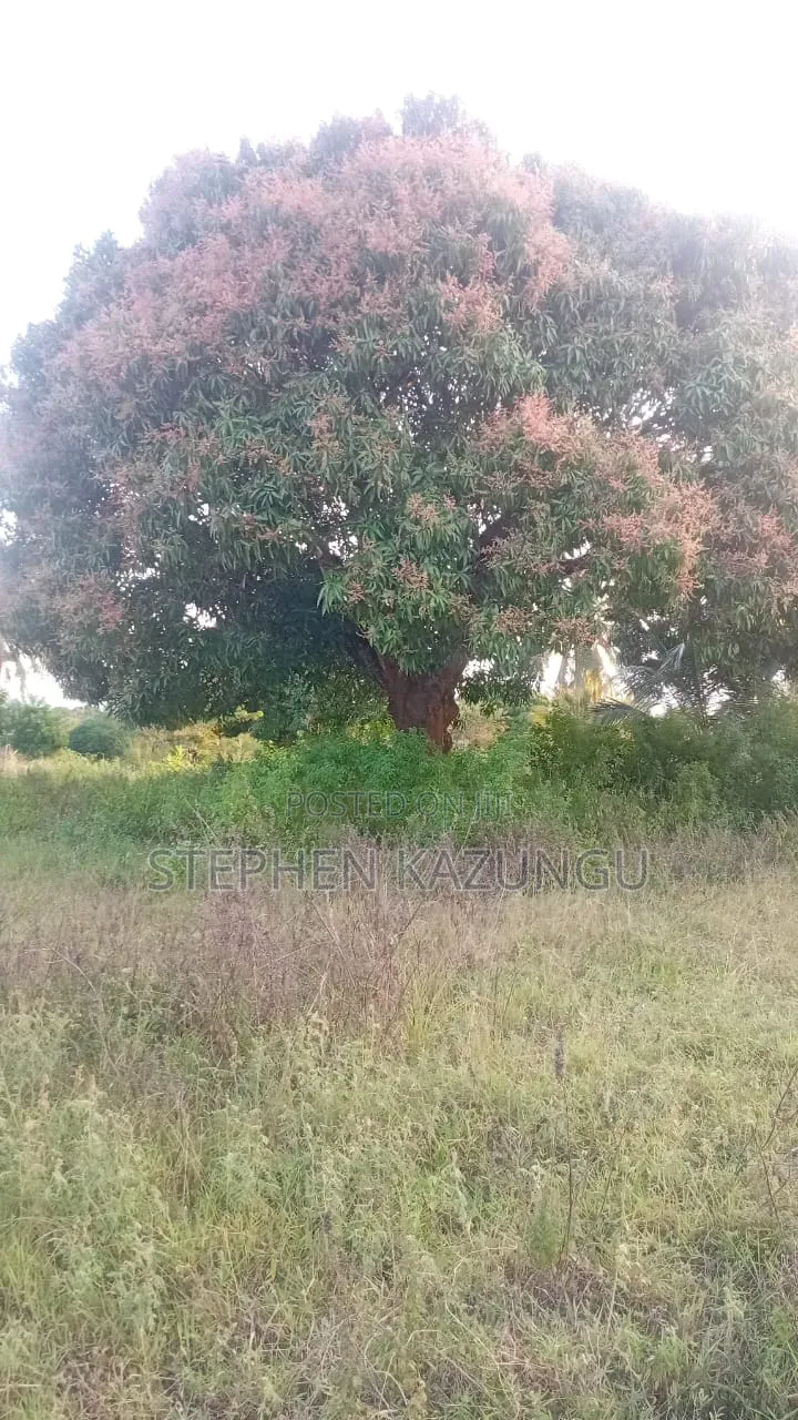 1 Acre Plot on Sale at Kinondo Town Zone, Opposite Kinondo Hospital.