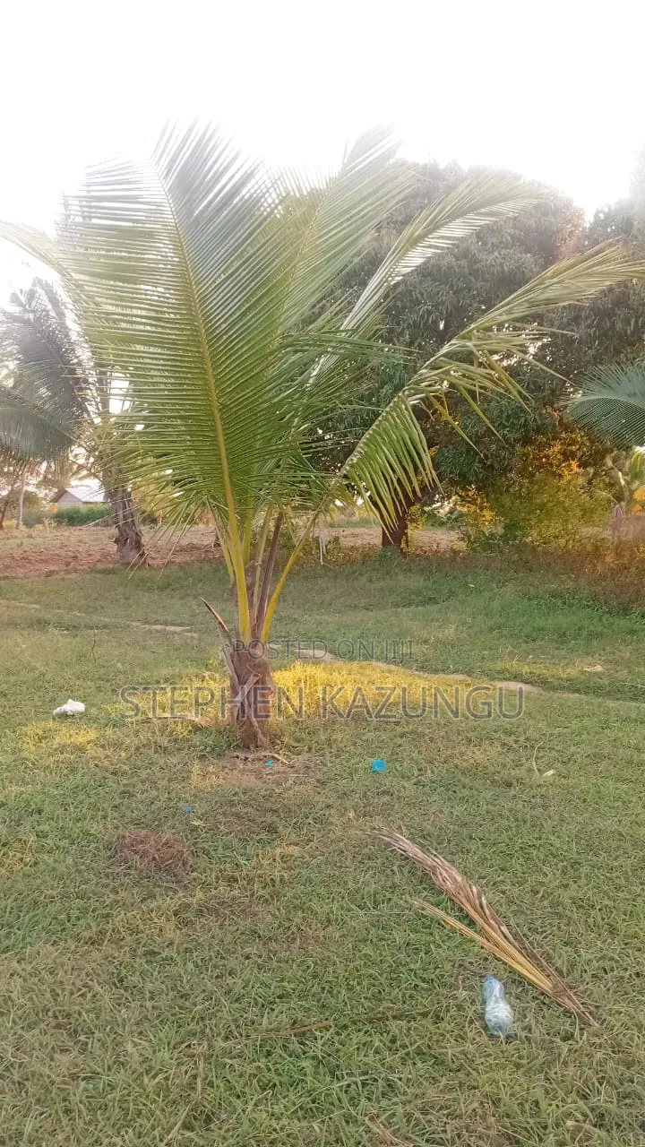 1 Acre Plot on Sale at Kinondo Town Zone, Opposite Kinondo Hospital.