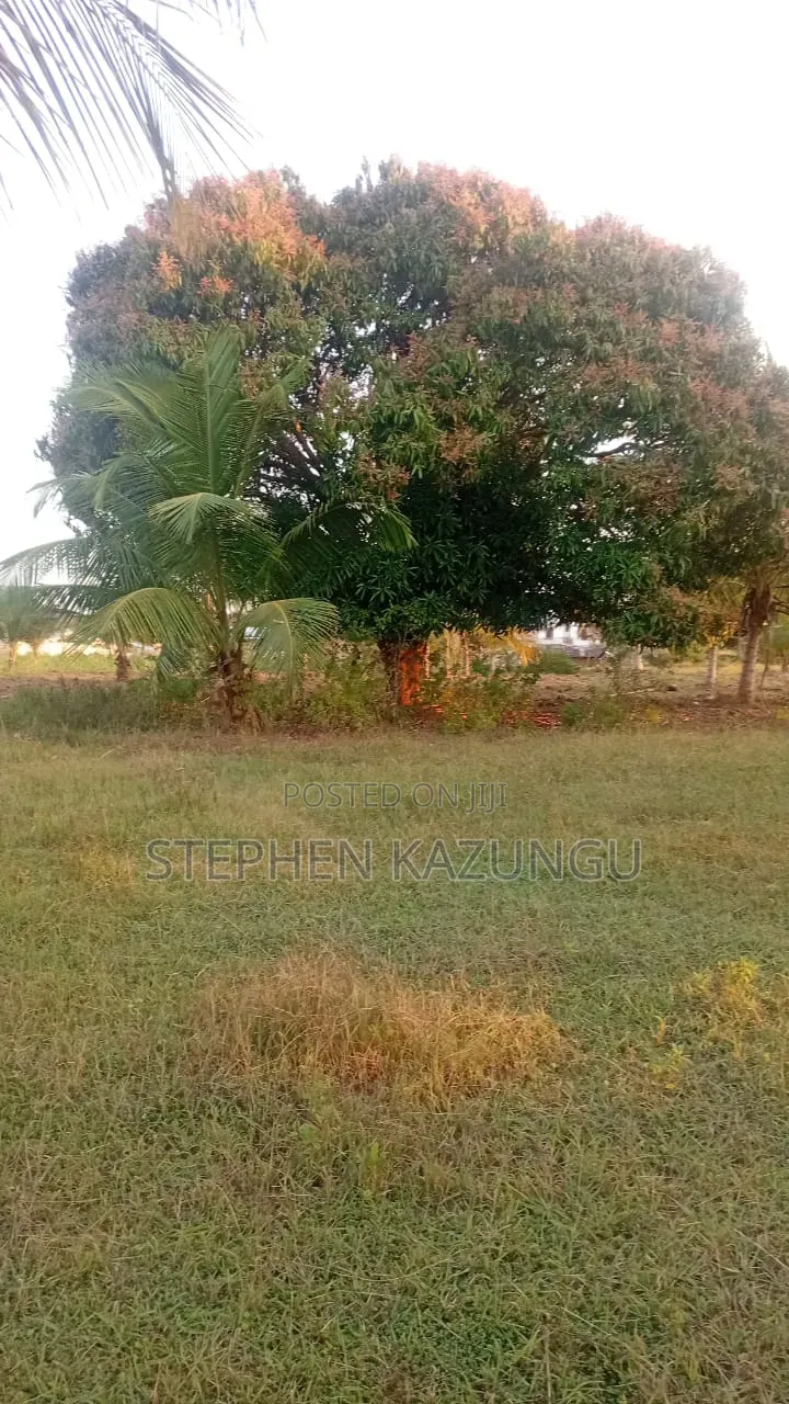 1 Acre Plot on Sale at Kinondo Town Zone, Opposite Kinondo Hospital.