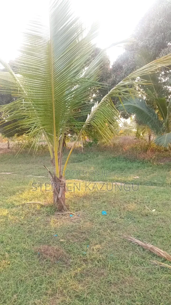 1 Acre Plot on Sale at Kinondo Town Zone, Opposite Kinondo Hospital.