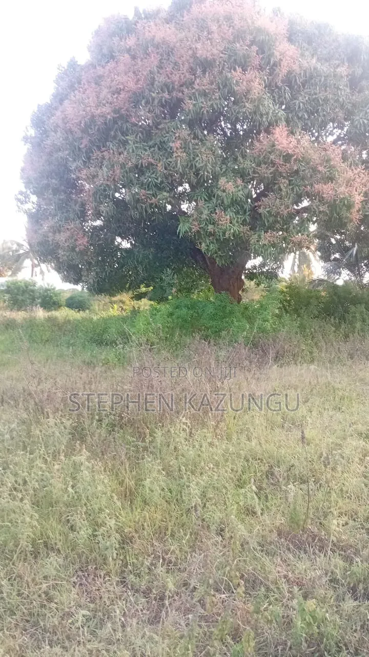 1 Acre Plot on Sale at Kinondo Town Zone, Opposite Kinondo Hospital.