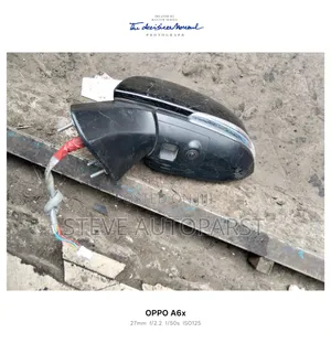 Toyota Rav 4 With Camera and Sensor 2018 Side Mirror