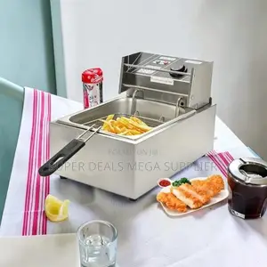 Overheat Protection Design 4l/6l/10l Electric Stainless Deep Fryer