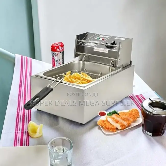 Overheat Protection Design 4l/6l/10l Electric Stainless Deep Fryer