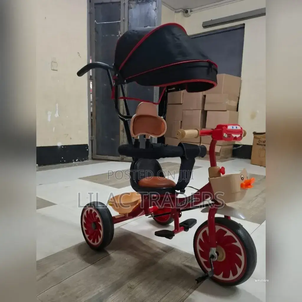 Luxury Kids Tricycle With Canopy