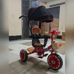 Luxury Kids Tricycle With Canopy