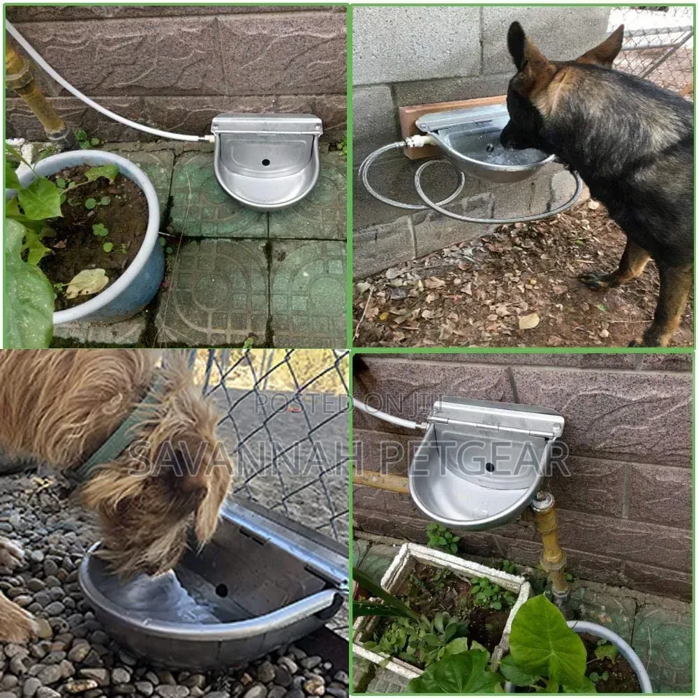 Drinking Waterer With Float Valve Water Trough for Horse, Goat, Cattle