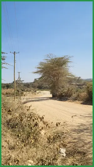 50×100 Roadfront Commercial Plot for Sale in Narok, Pulung'A
