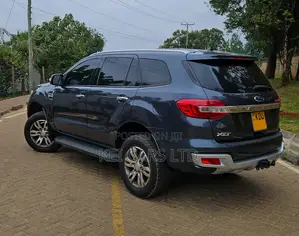 Ford Everest 2018 Gray