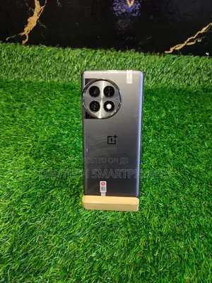New OnePlus Ace 2 Pro 256 GB Gray