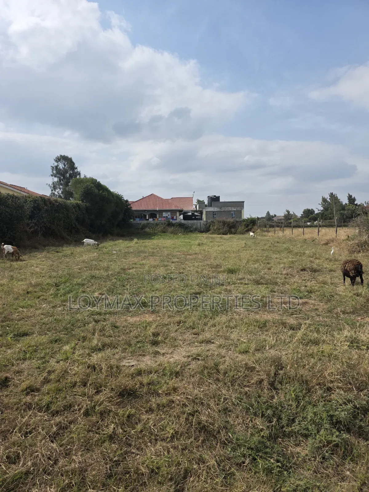 100*100 Residential Plot Chuna Estate Kitengela.