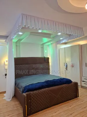 Modern Mosquito Bedroom Ceiling Net Installation