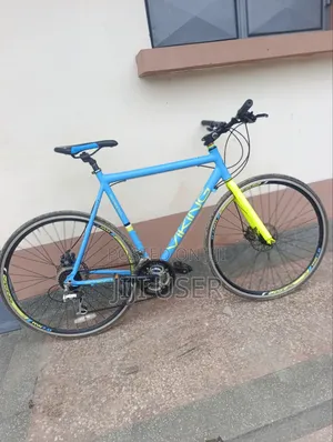 Viking Gravel Bike