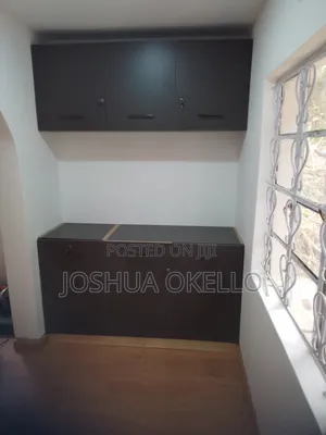 Cabinets and Handwash Basin Cabinets