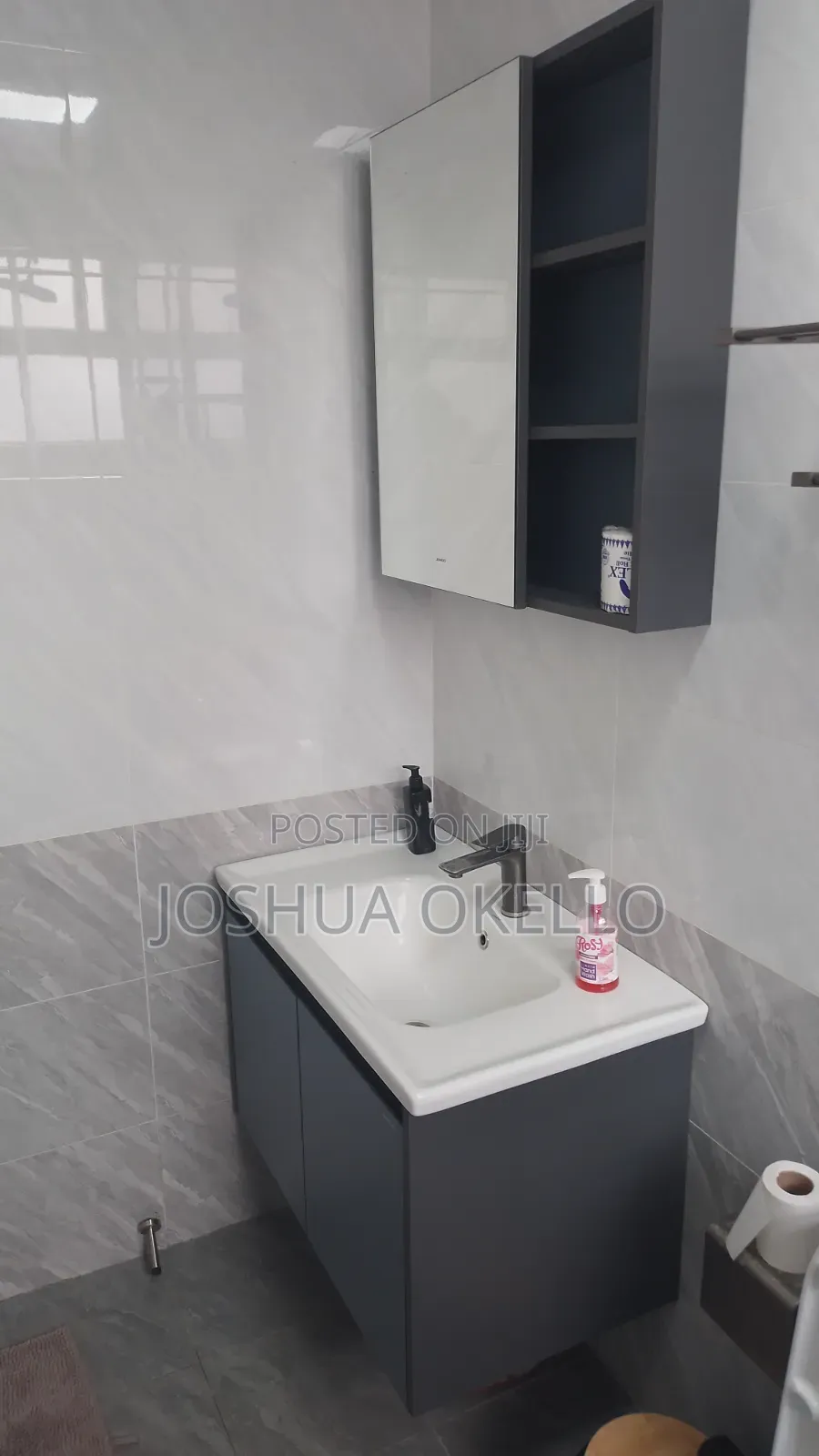 Cabinets and Handwash Basin Cabinets