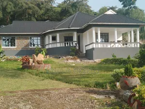 Wall Master and Exterior Paints