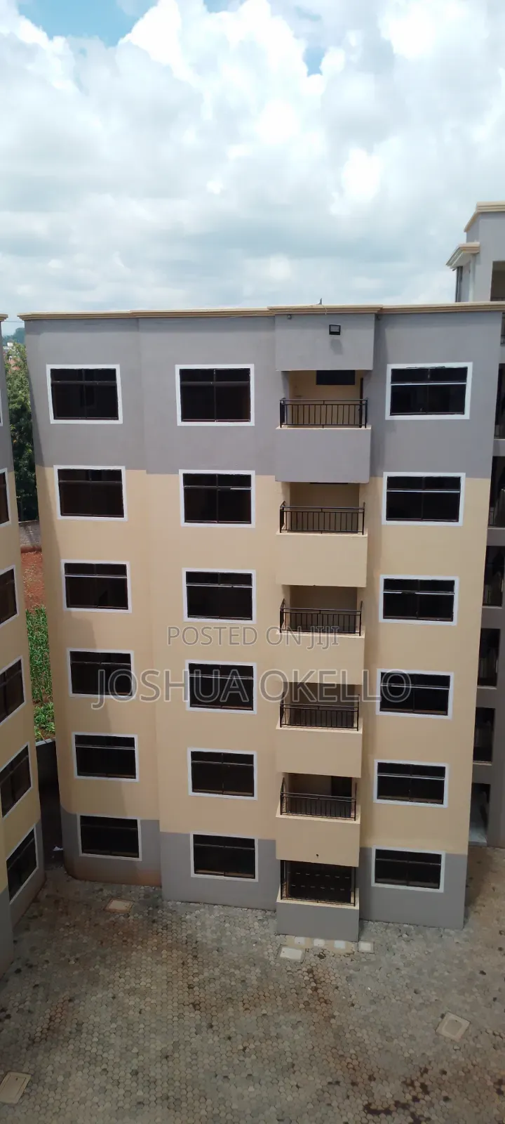 Wall Master and Exterior Paints