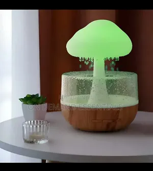 Rain Cloud Humidifier