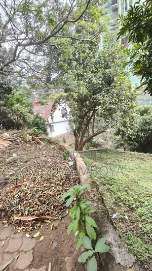 0.9 Acre Residential Land for Sale in Peponi Road