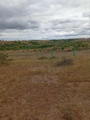 Affordable 1/8th Acre (50x100) Prime Land in Kisaju – KES 1.05M