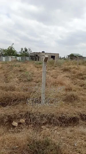 Affordable 1/8th Acre (50x100) Prime Land in Kisaju – KES 1.05M