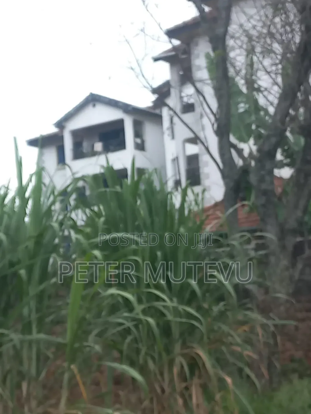 3 Pieces of Half Acre Land for Sale