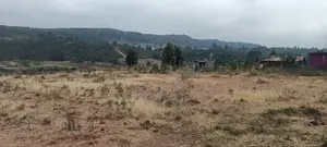 6.5 Acres in Kikuyu