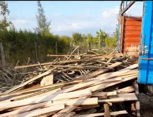Dry Firewood for Home, Hotel and School Use