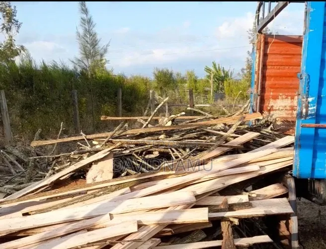 Dry Firewood for Home, Hotel and School Use