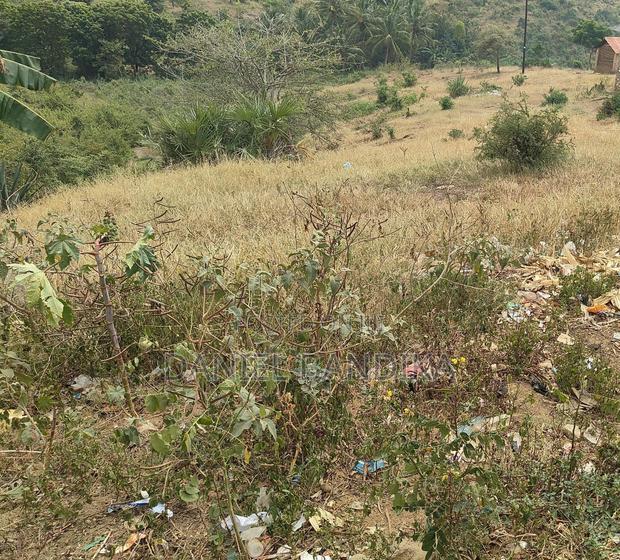Plot for Sale - main view
