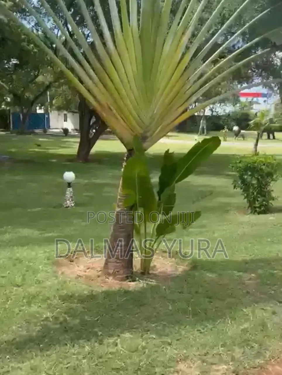 Furnished 4bdrm Villa in Town Centre for sale