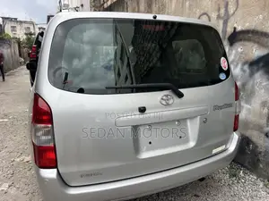 Toyota Succeed 2020 Gray