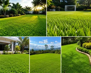 Landscaped Green Lawns,landscaping Services