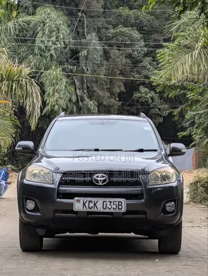 Toyota RAV4 2010 Gray