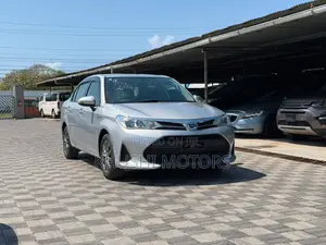 Toyota Axio 2019 Silver