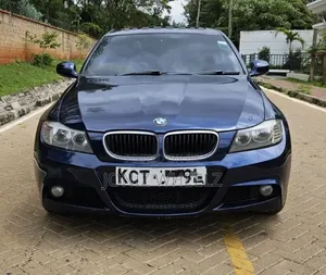 BMW 318i 2011 Blue