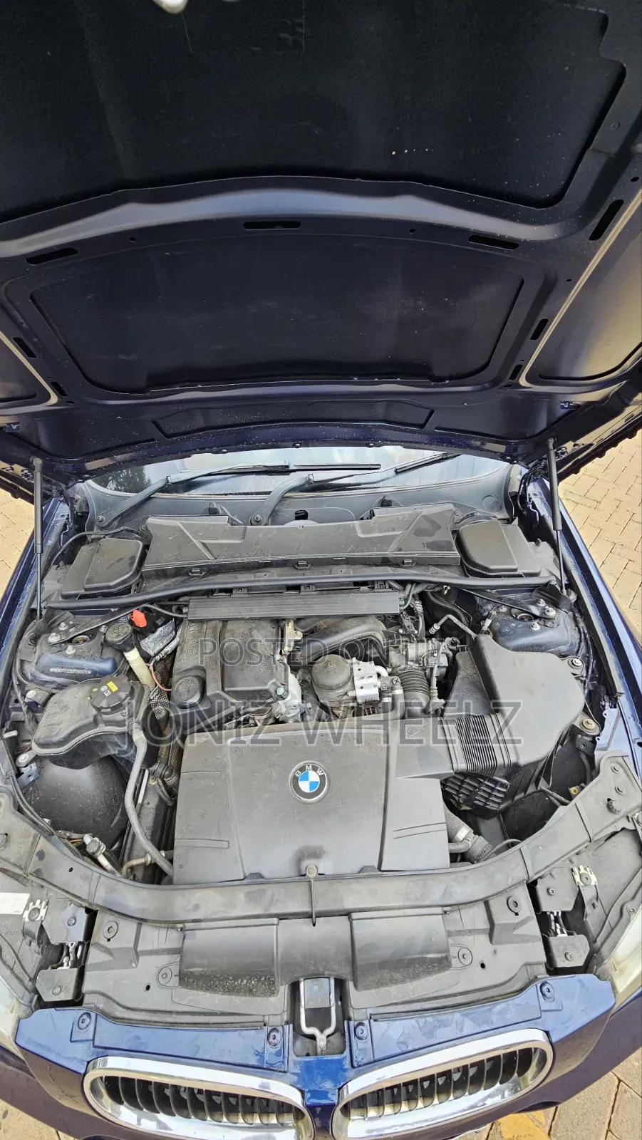 BMW 318i 2011 Blue