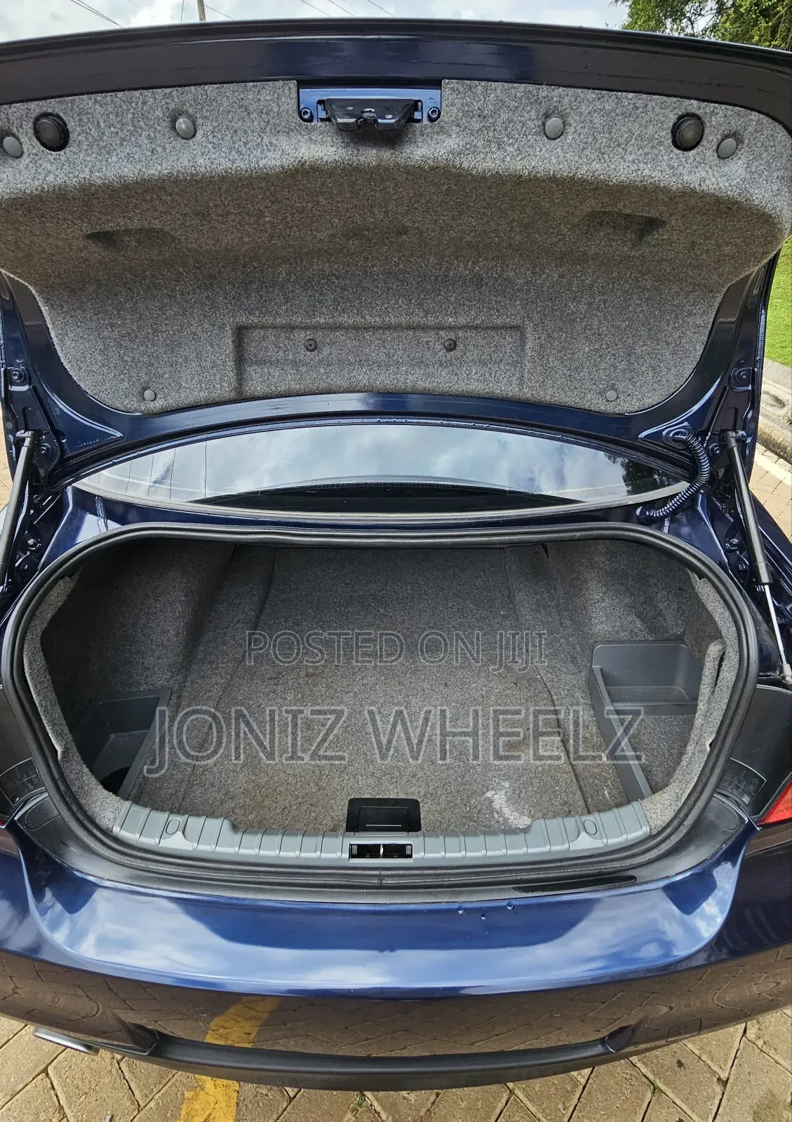 BMW 318i 2011 Blue