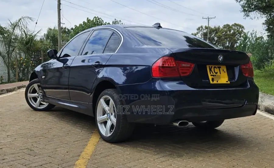BMW 318i 2011 Blue