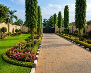 Landscape With Ashok Trees on the Driveway